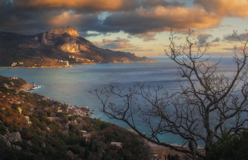 Ласпи фото превью