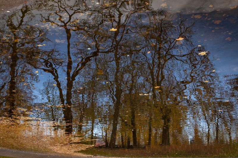 пейзаж, пейзажная импрессия, street, street photography, осень, природа, зазеркалье, город, архитектура, стрит, репортаж, Пейзажная импрессия фото превью