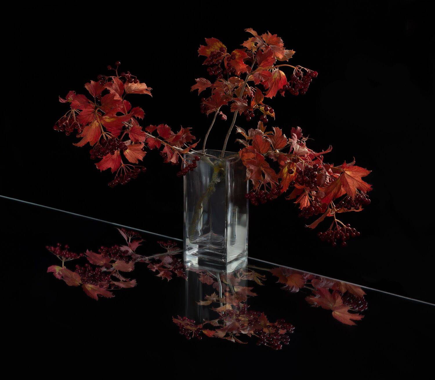 , Черновол Валентин