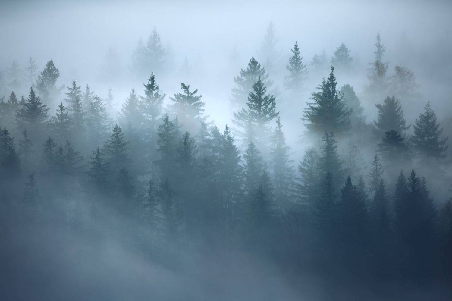 landscape,autumn,mountains,canon, Iza i Darek Mitręga