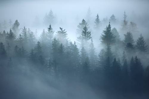 Valley of Lost Souls...