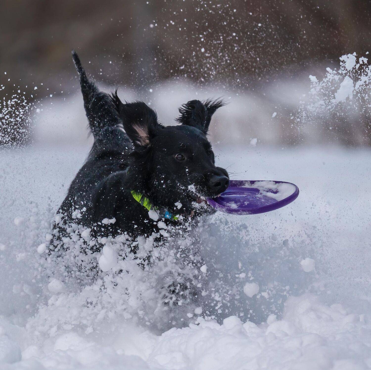 , Константин Дэм