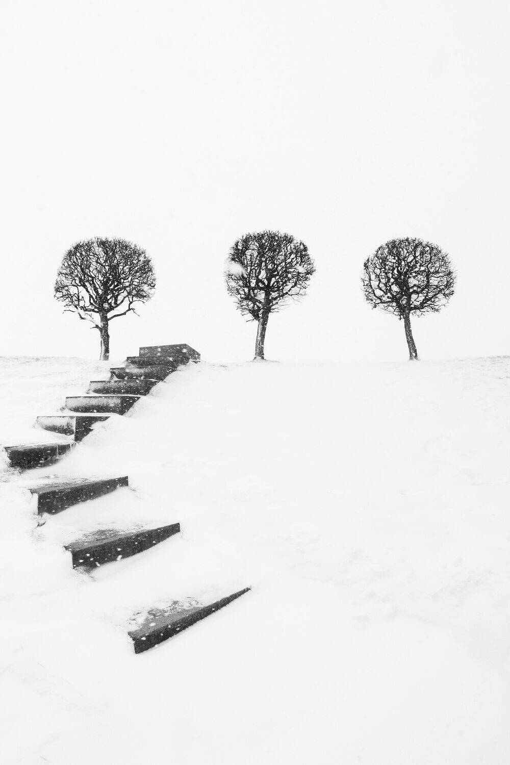 , Сергей Григорьев