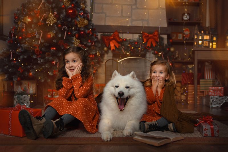 фото превью