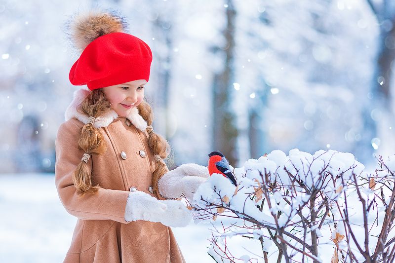 Зимний друг! фото превью