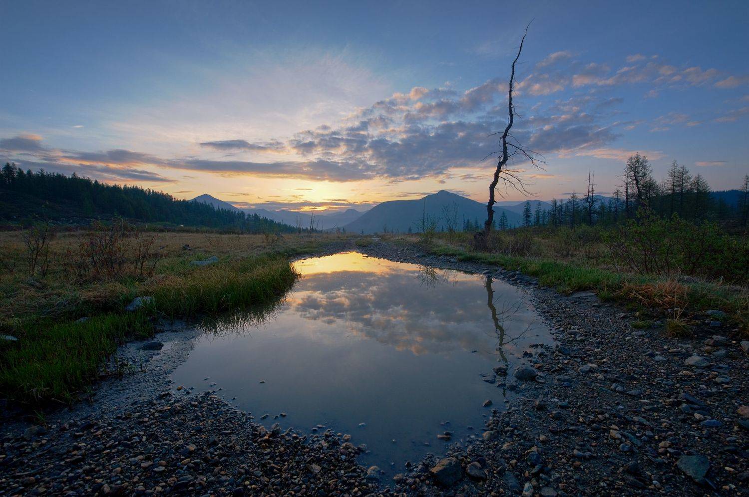 , Борис Леваков