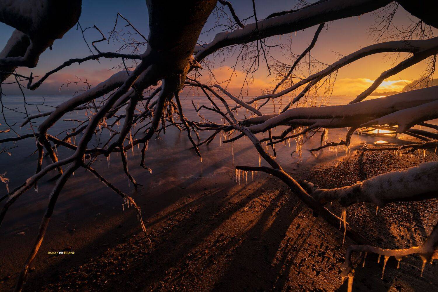 Baltic Sea, landscape, sea, sunrise, roots, branches, trees, water, Hudzik Roman