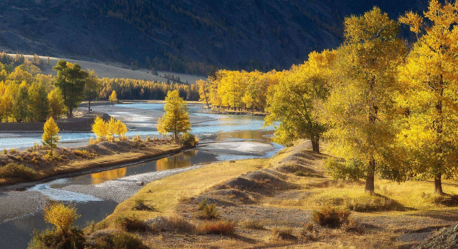 алтай, Александр Писарев