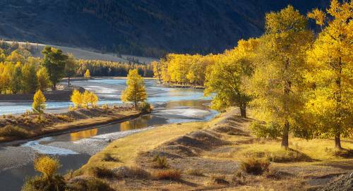 Осень на реке Чуя