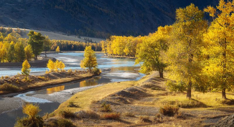 алтай Осень на реке Чуя фото превью