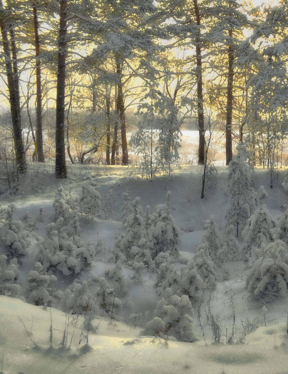 , Михаил Новиков