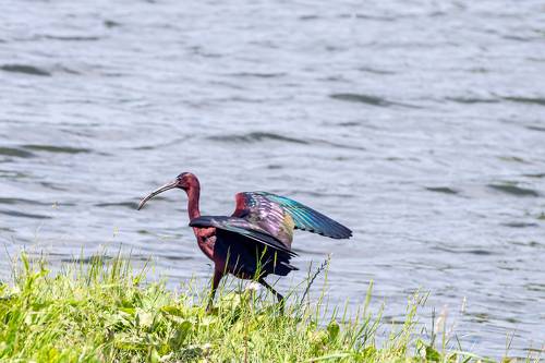 Скоро весна!