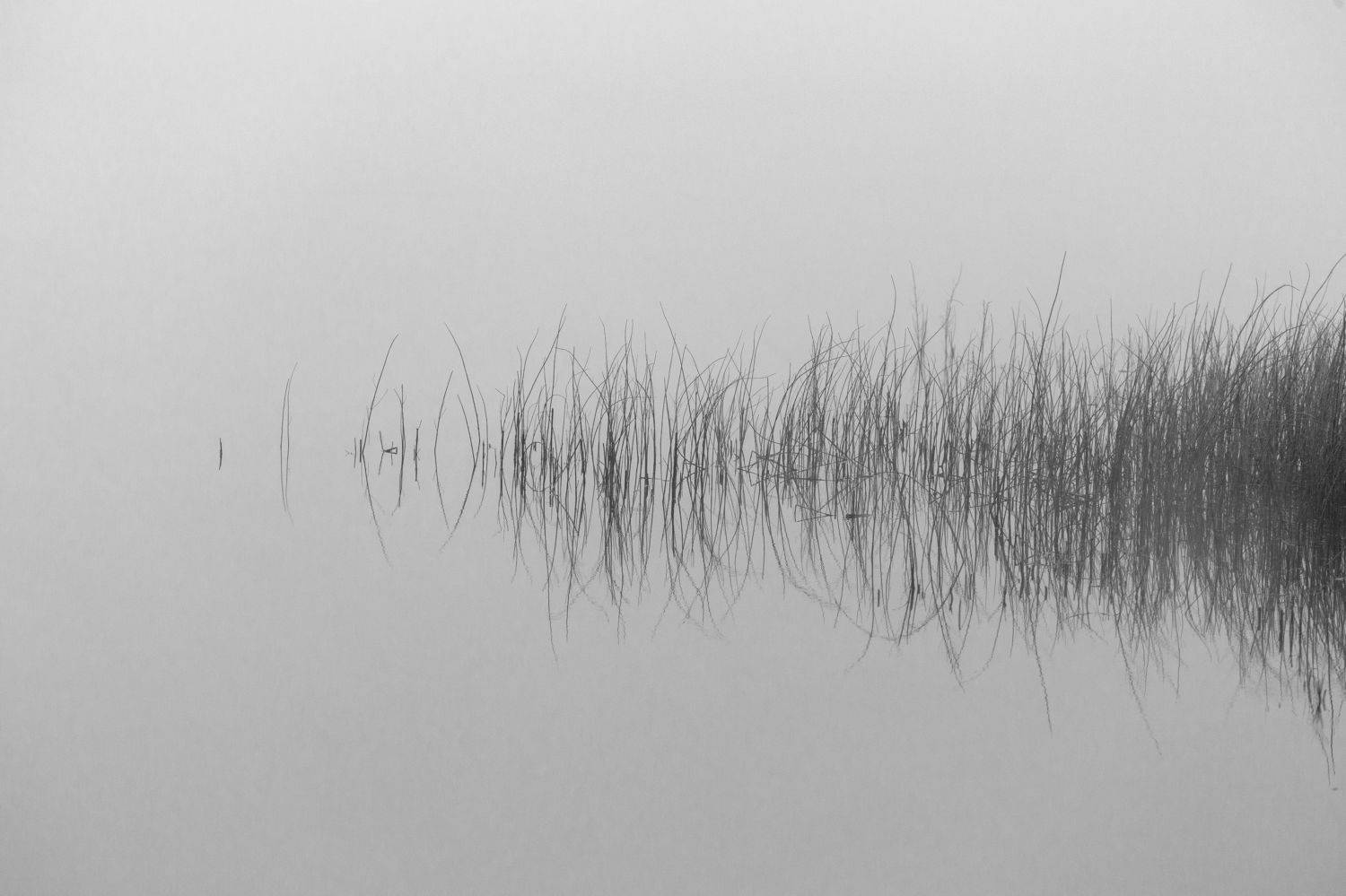 черно-белый пейзаж, Андрей Логвинович