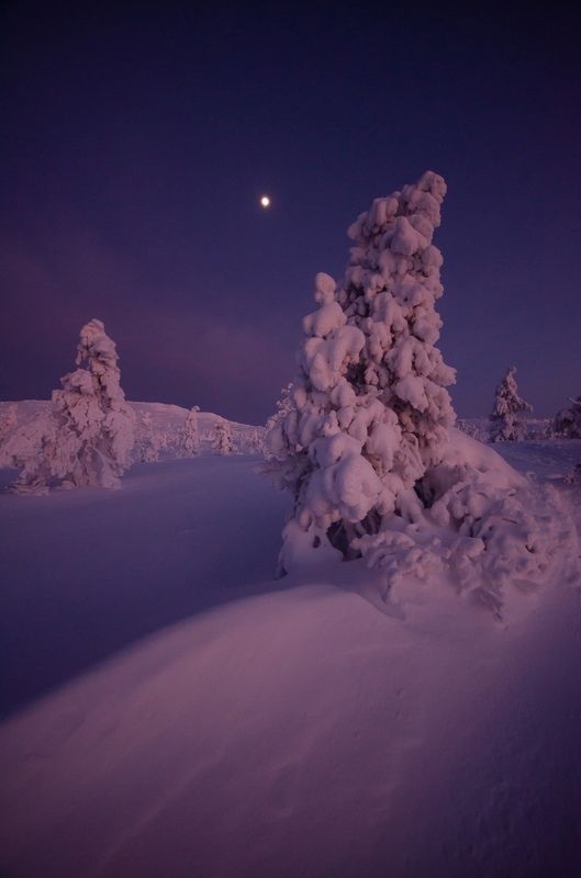 Кандалакша фото превью
