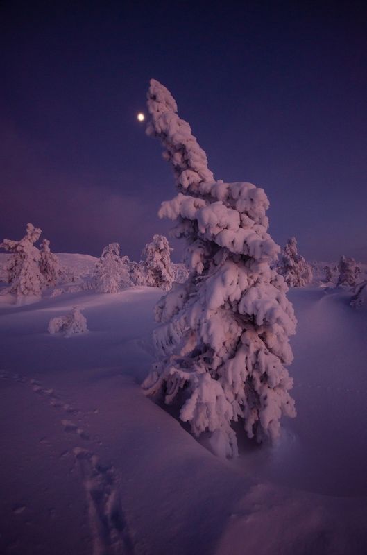 Кандалакша фото превью