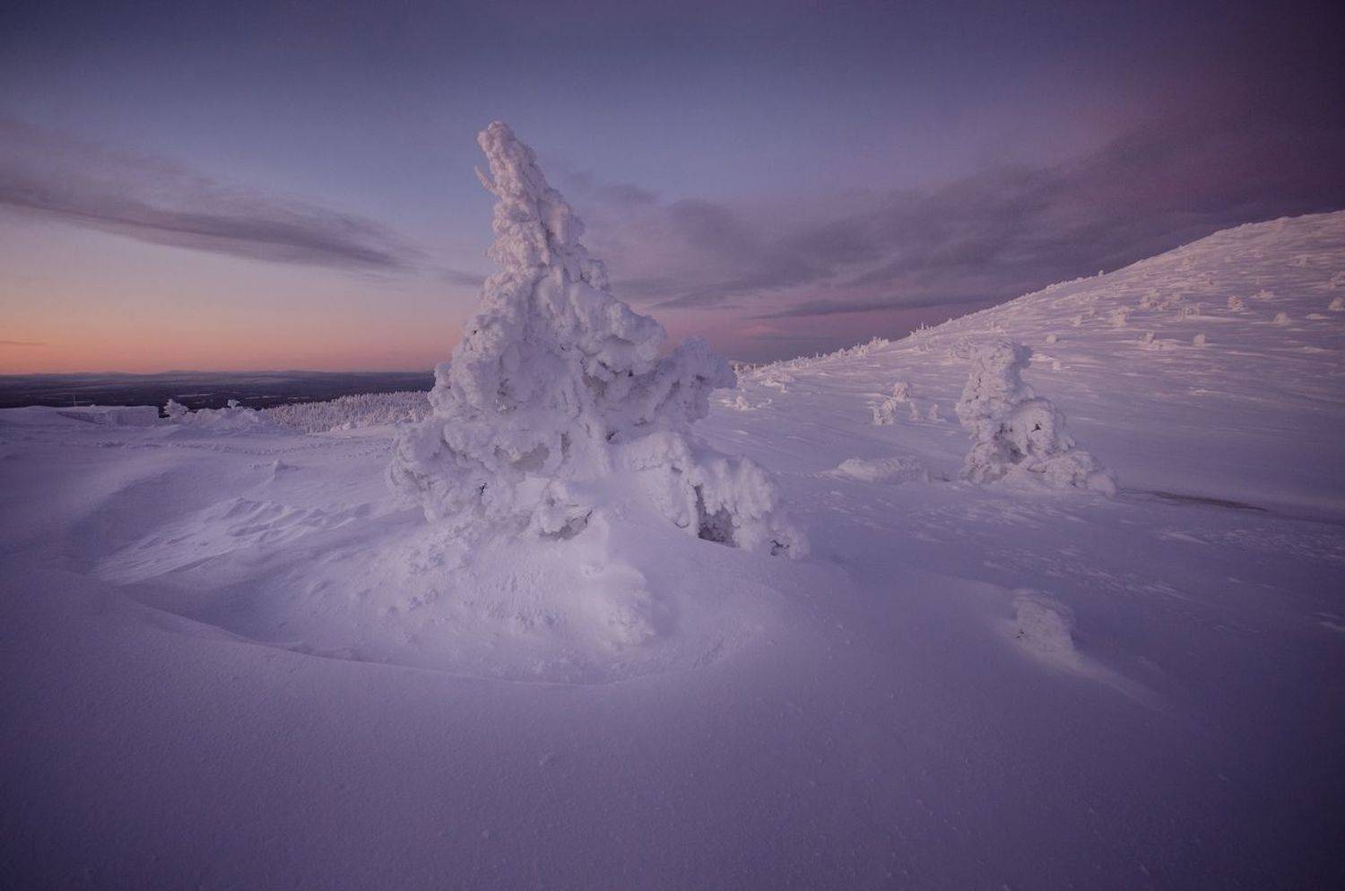, Абрамов Денис