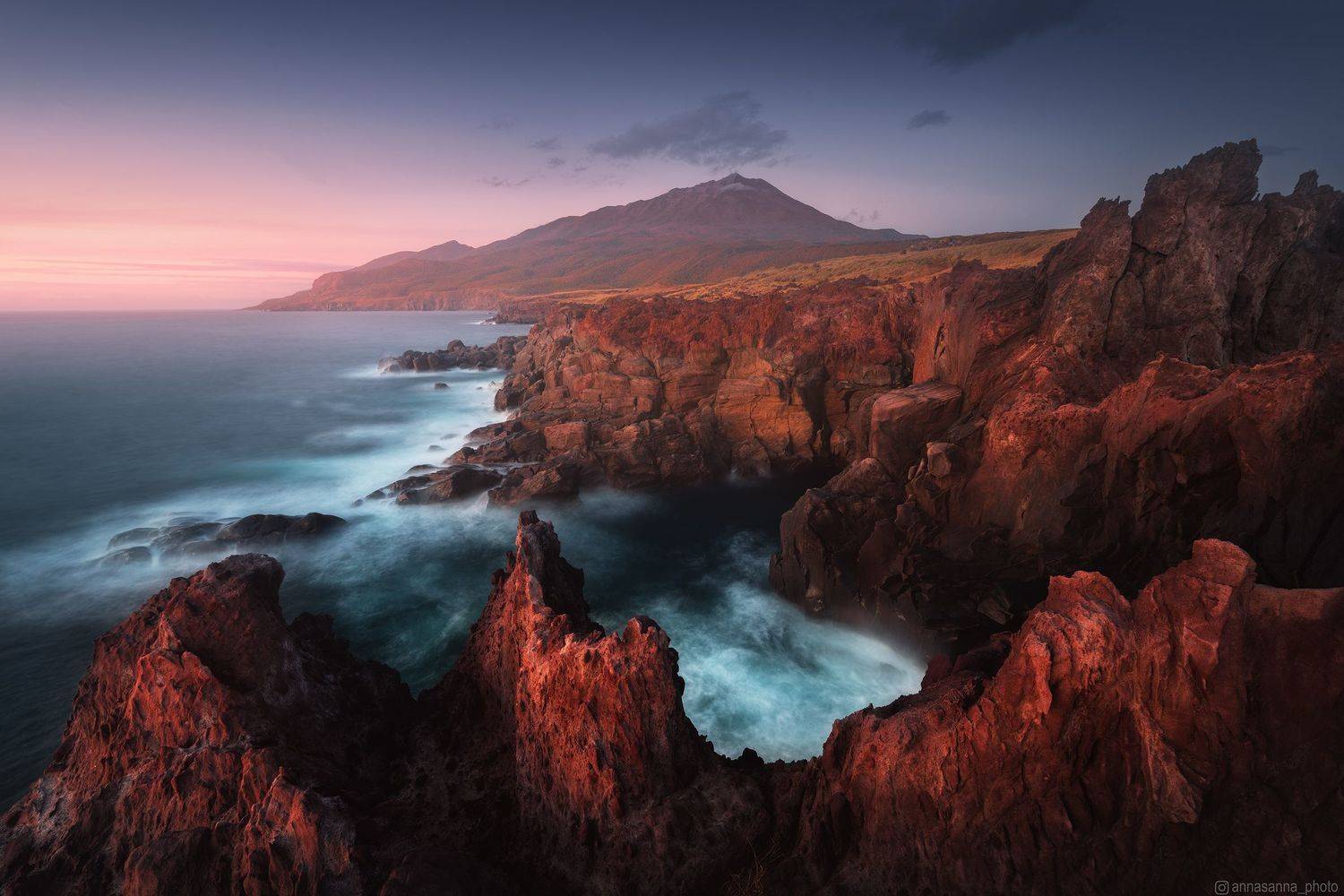 , Анна Политова