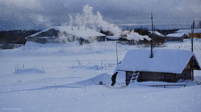 натюрморт 	 суббота. баня. Ломоносово. 2022 фото превью