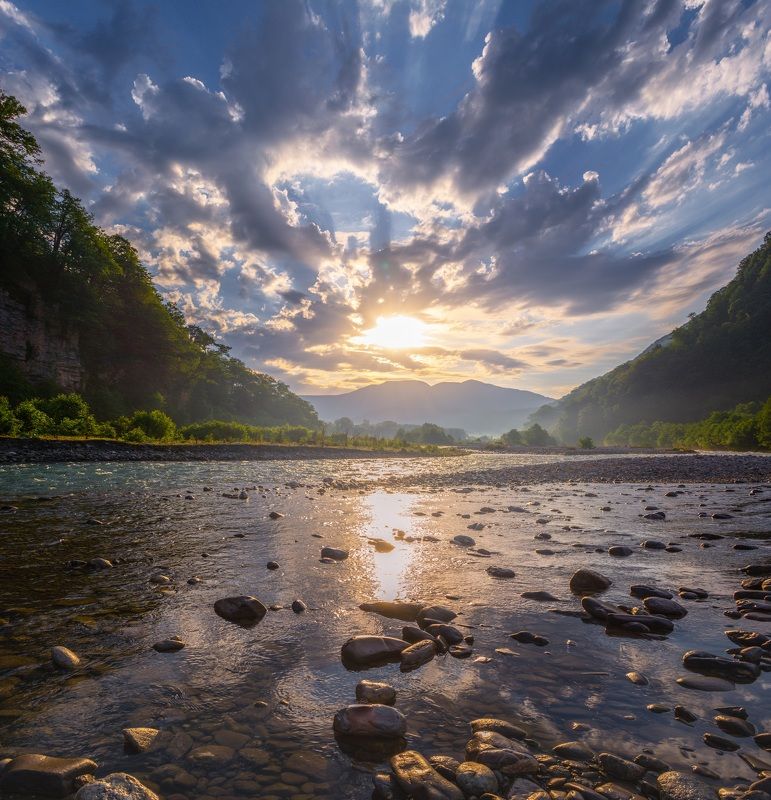 Цвет свежего утра... фото превью