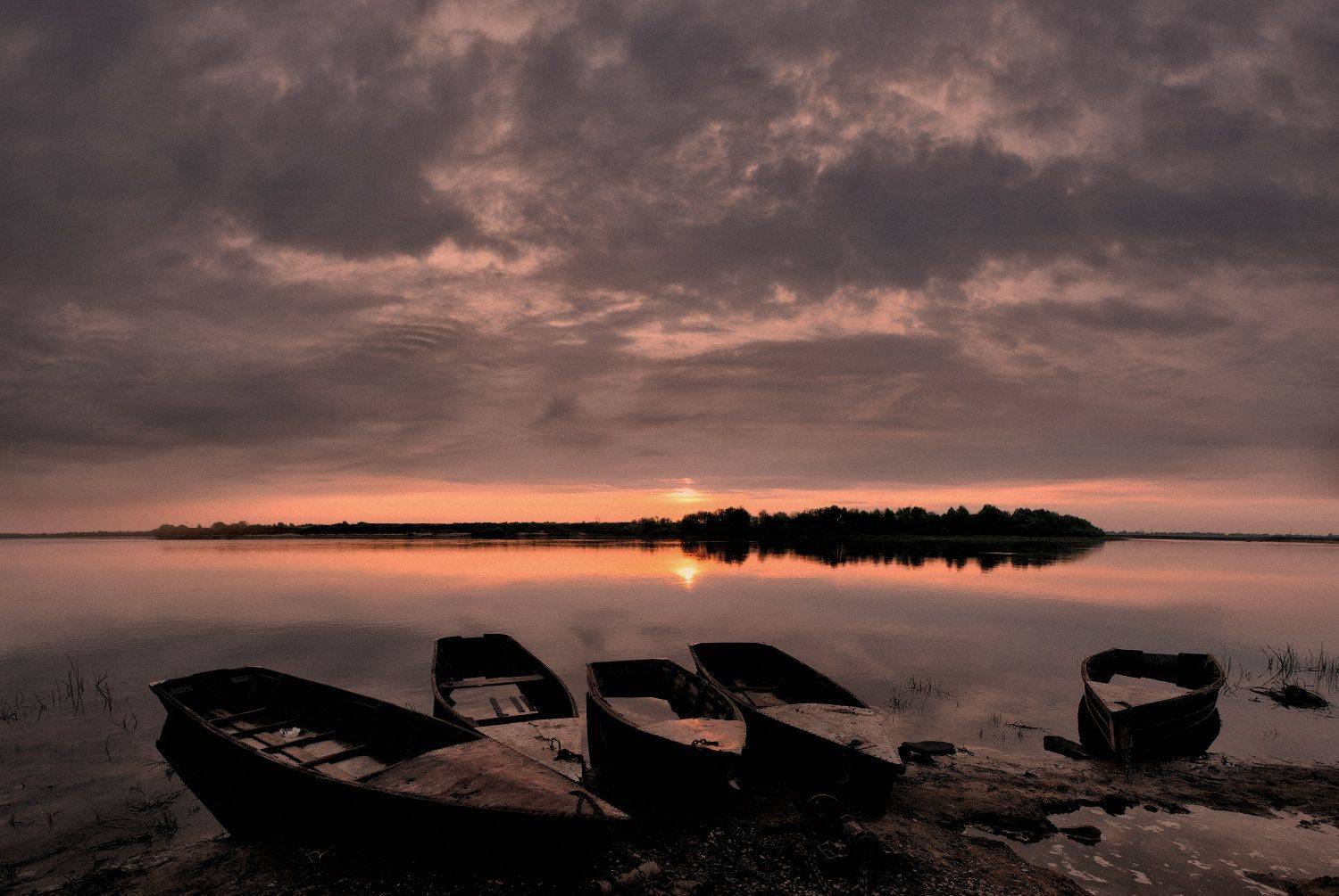 , Никитин Николай