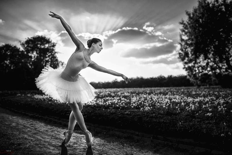 Russian ballet фото превью