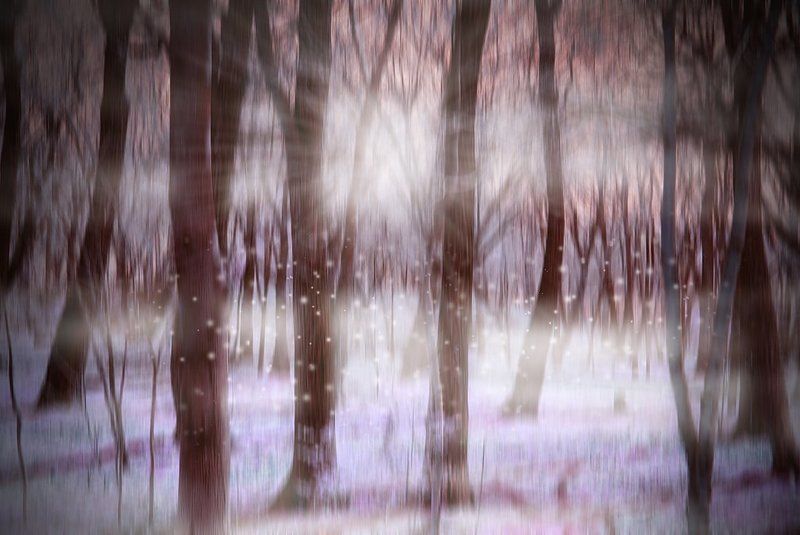 Недосмотренный сон... фото превью