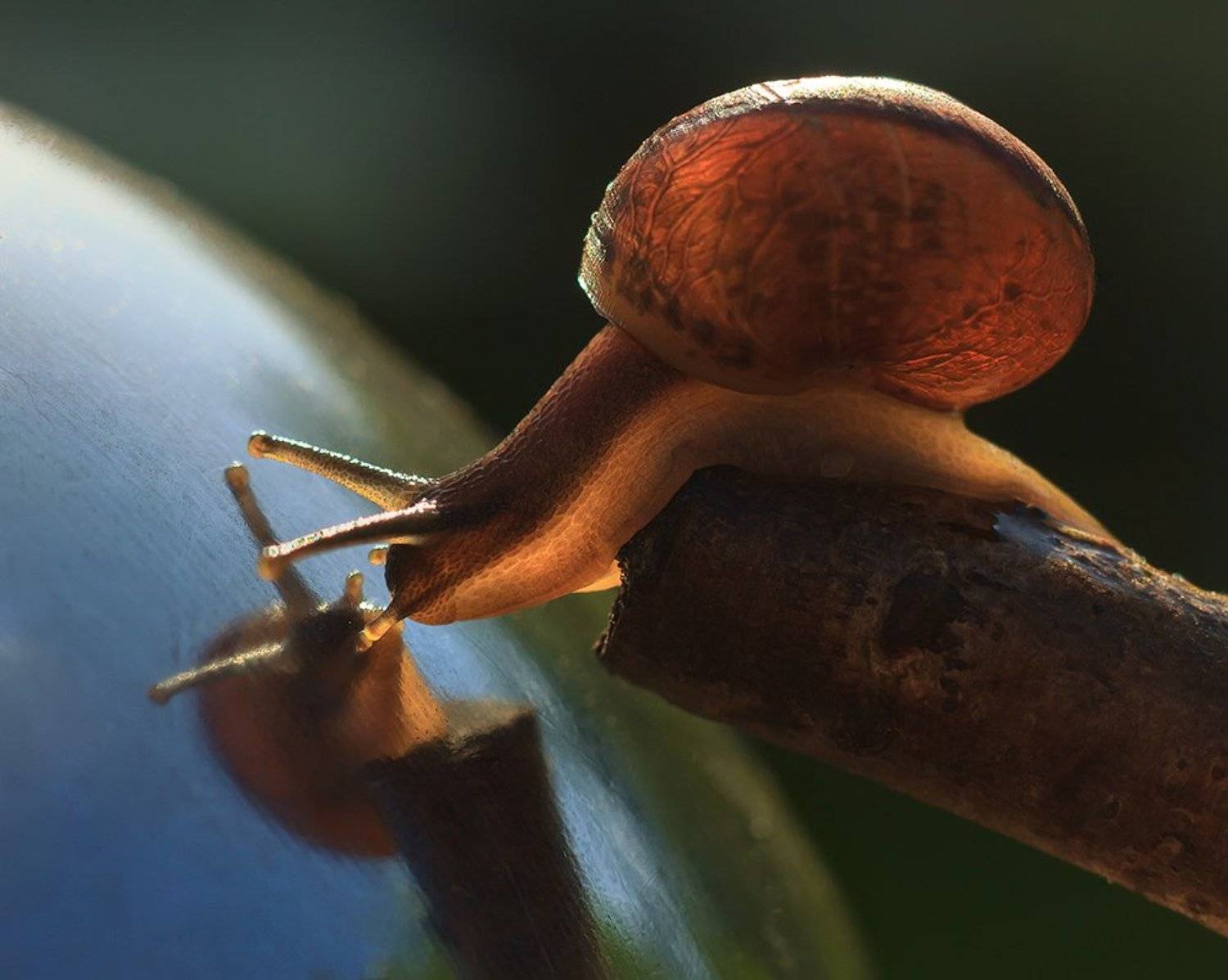 , Аркадий Белов