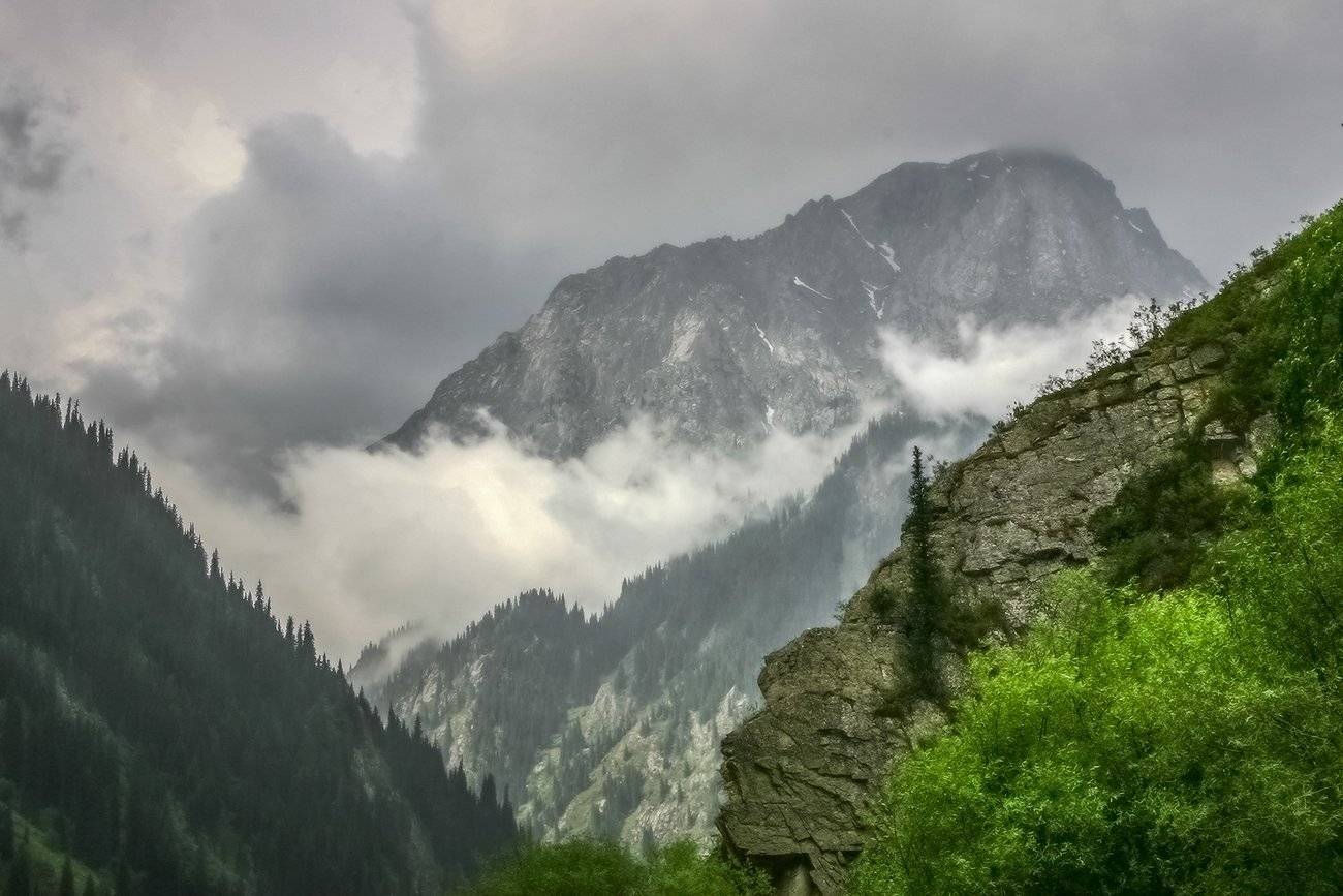 , Leonid Dyachenko