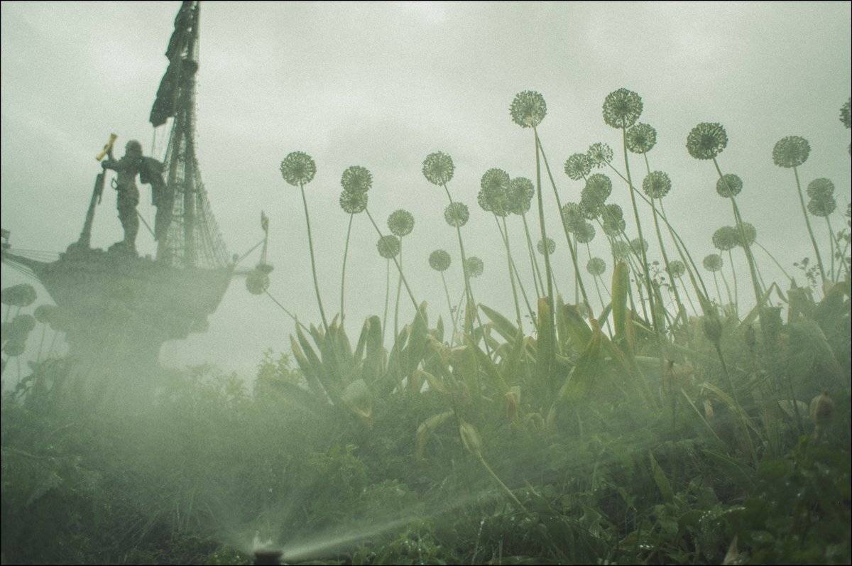 тарбеев, москва, петр, памятник, набережная, одуванчики, растения, туман, дождь, Bobby