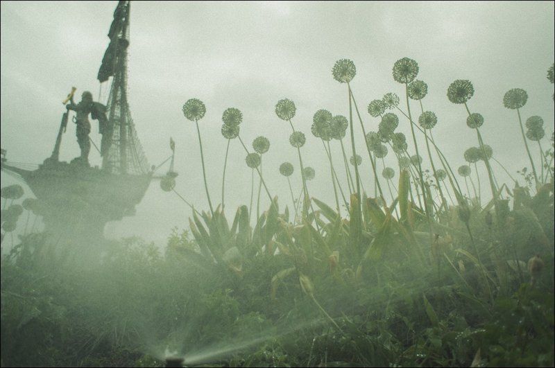 тарбеев, москва, петр, памятник, набережная, одуванчики, растения, туман, дождь Представление. Сырость и туман в Москве фото превью