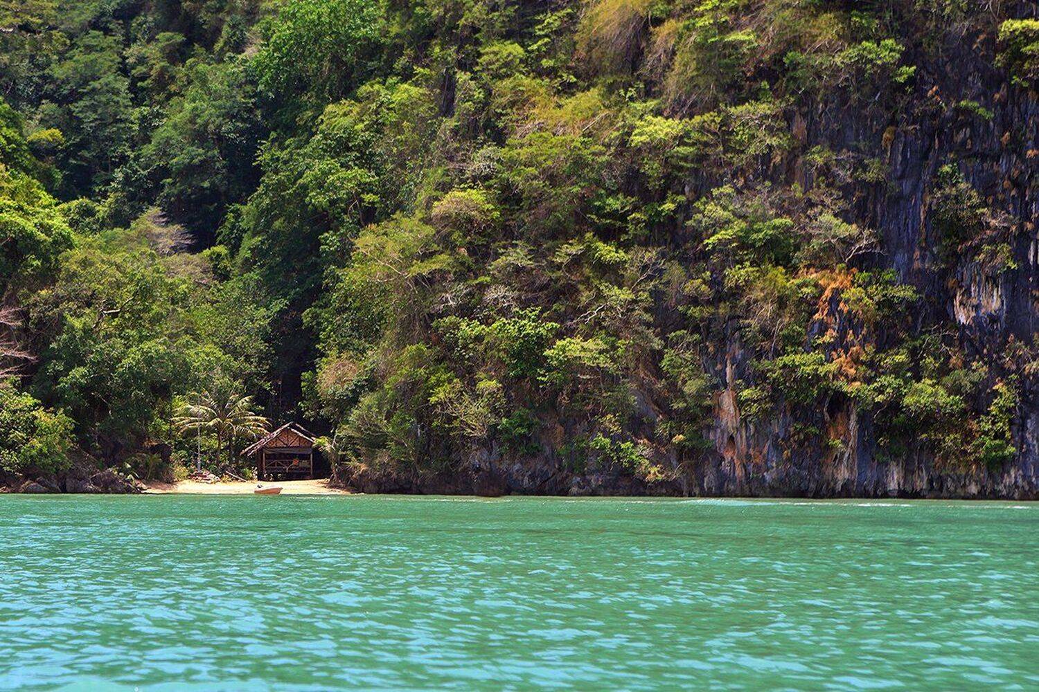 , Игорь Дубровский