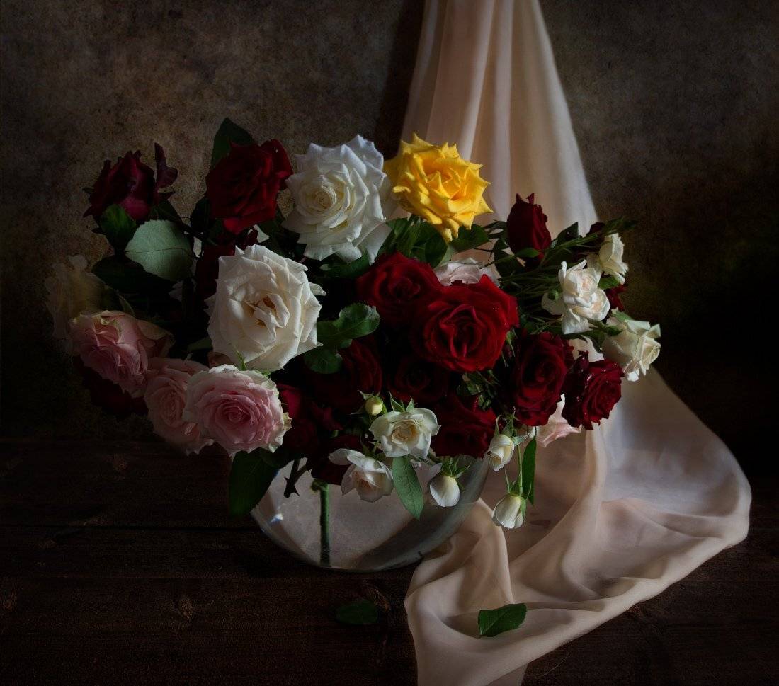 , Елена Брежицкая