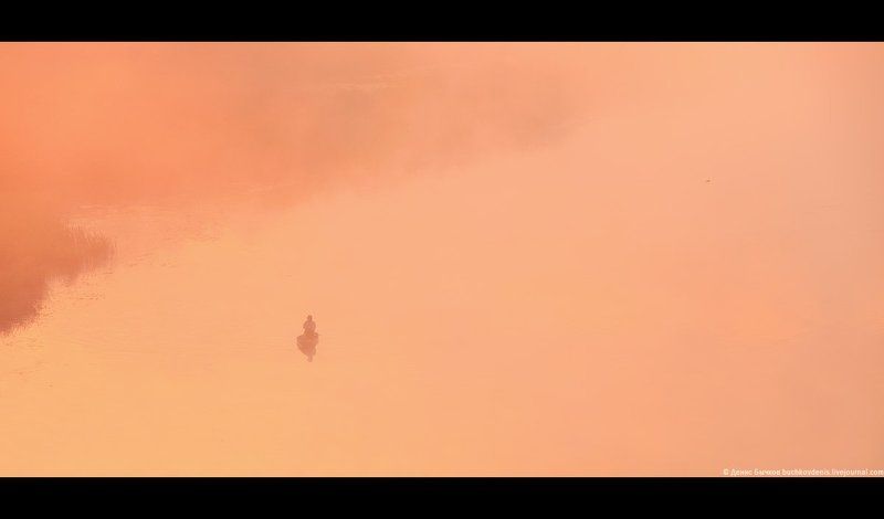 утро, туман, воронеж, рассвет Утро фото превью