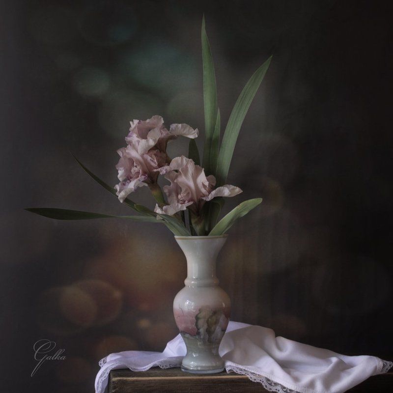 Композиция, Фотонатюрморт, Цветы Розовые ирисы фото превью