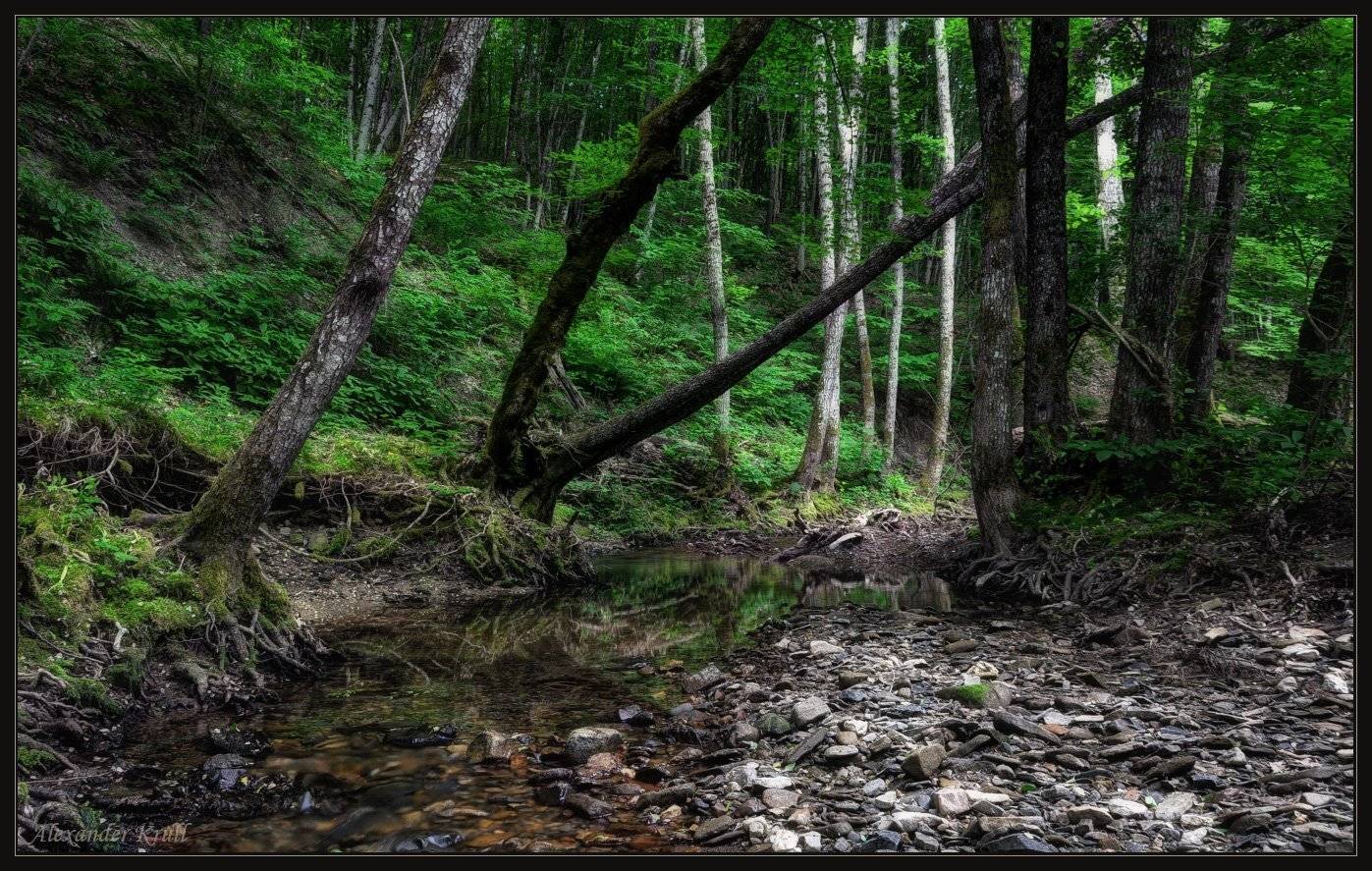 дебри, Александр Круль