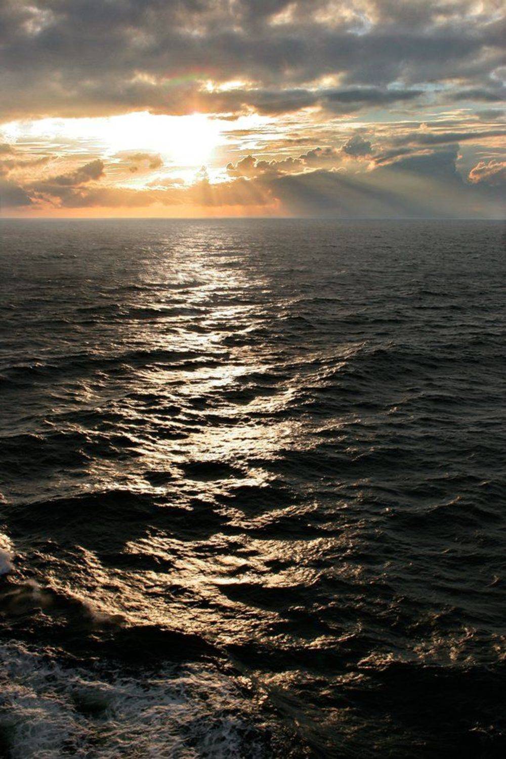 , Валерия Струнникова