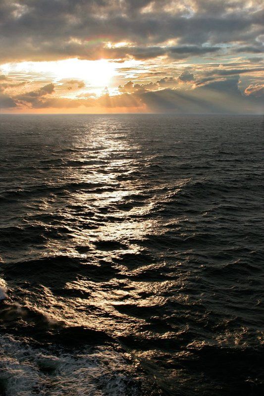 На море... фото превью