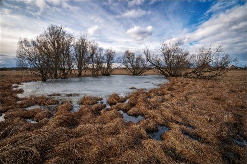 Немного весны