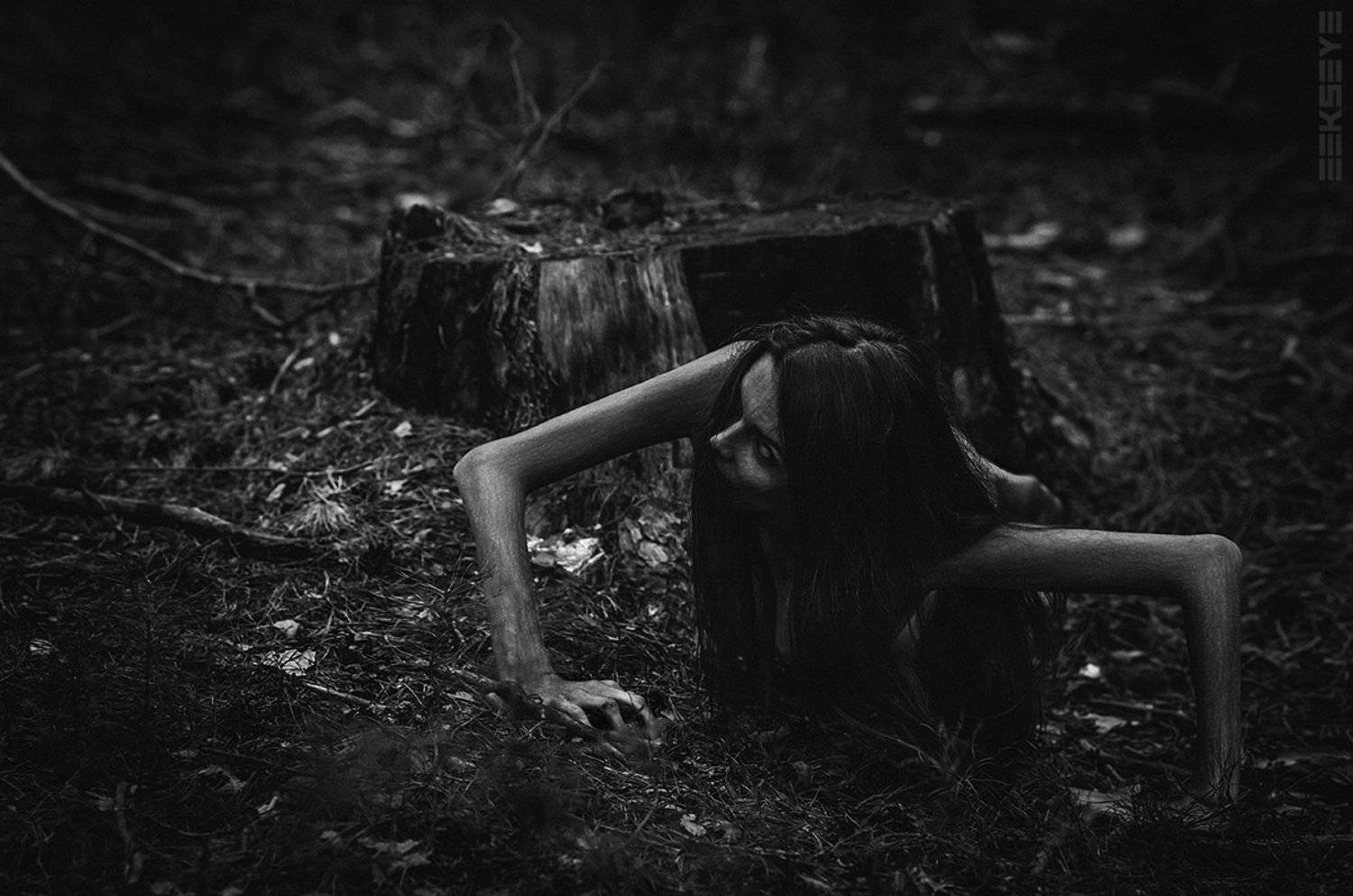 , Игорь Ксай