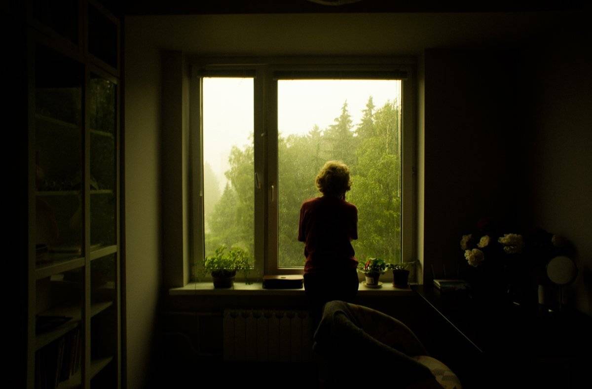 тарбеев, окно, дождь, силуэт, комната, цветы, Bobby