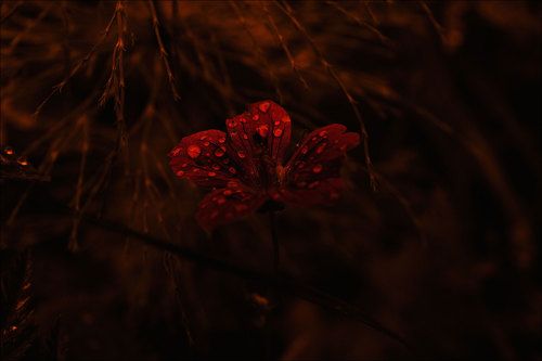 мир под ногами