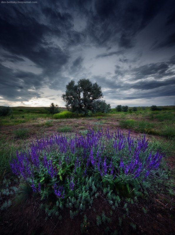Пасмурный летний день фото превью