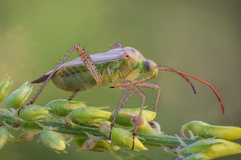/----/ фото превью
