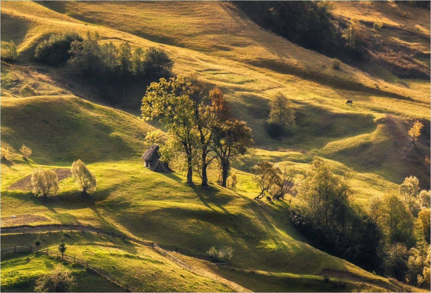 домик, закарпатье, карпаты, осень, сентябрь, склоны, ясиня, Ольга Максимова