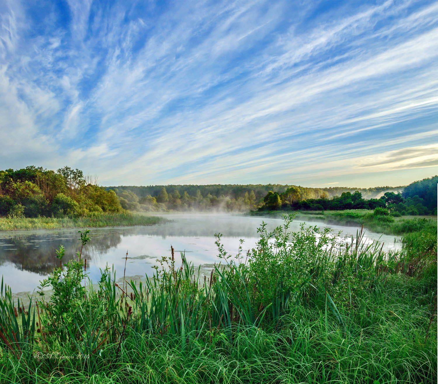 , Анатолий Зверев