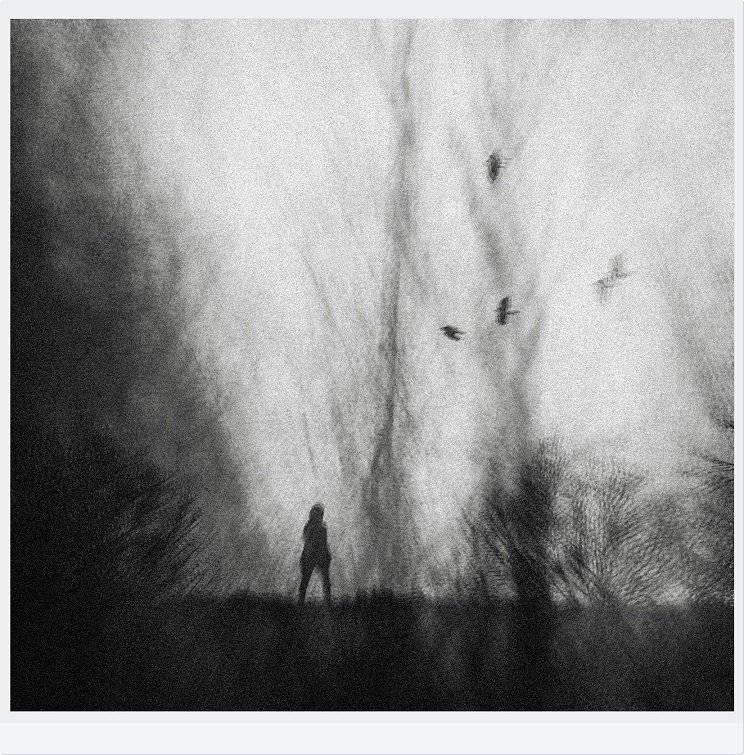 , Krzysztof Trojanowski