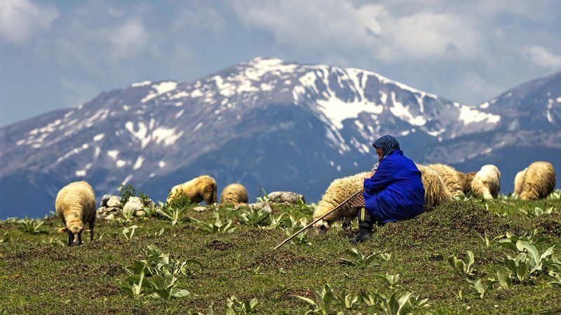 Пастушка фото превью