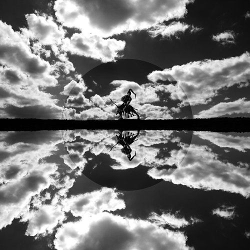 Reflection of the warrior