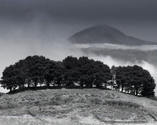 Далёкий...близкий остров