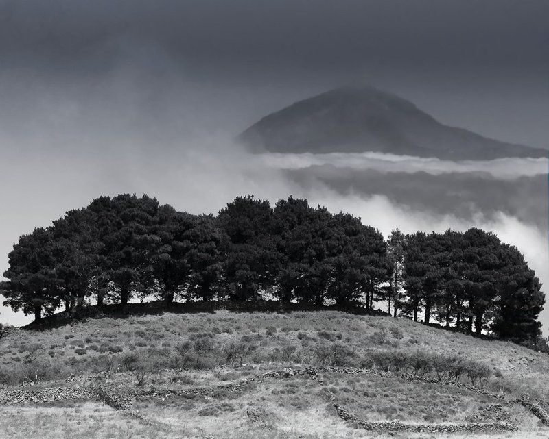 Далёкий...близкий остров фото превью